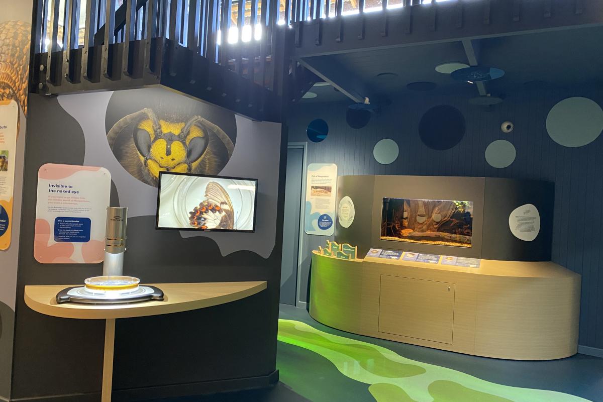 Herdsman Lake Discovery Centre Displays inside visitor centre.