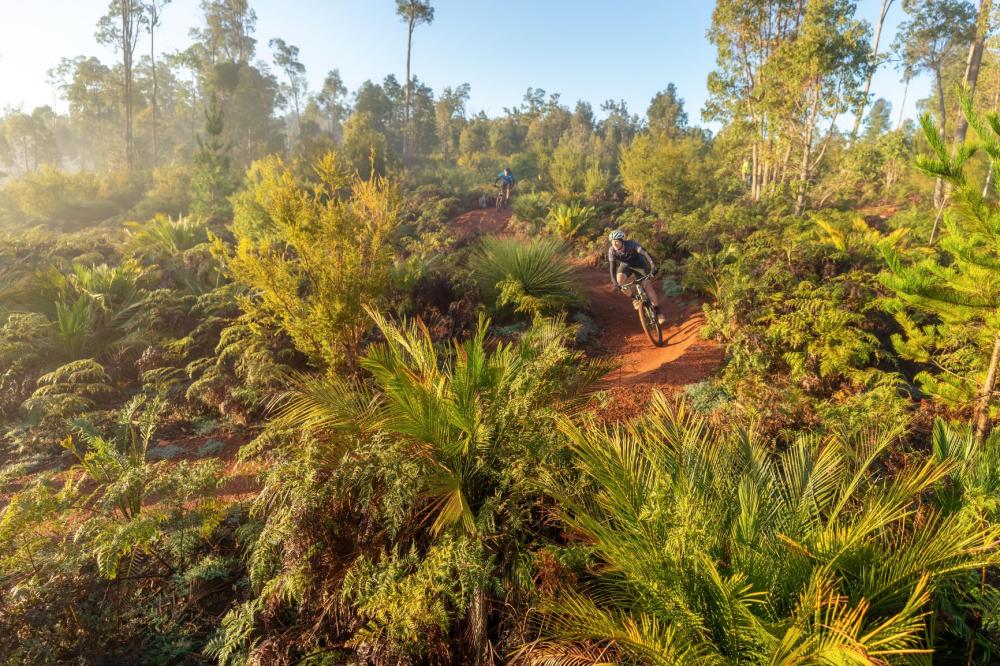 Aerial view of dirt tracks winding through green shrubs and two people riding mountain bikes