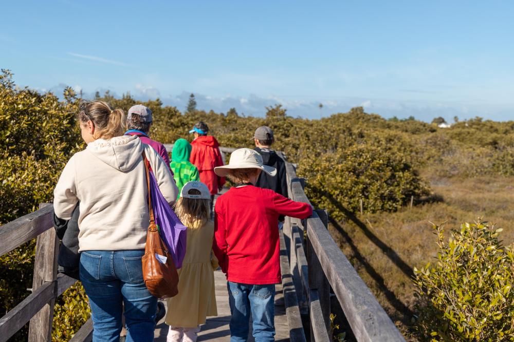 People walking on a bridge with a view of scrub bushland