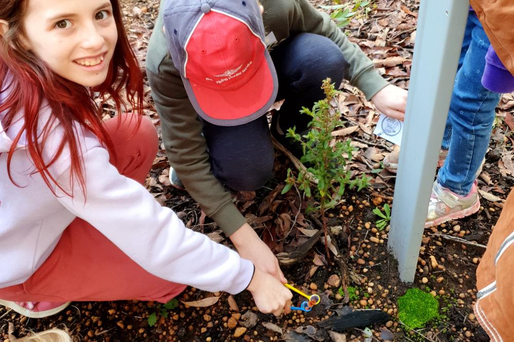 Children digging in the dirt. 