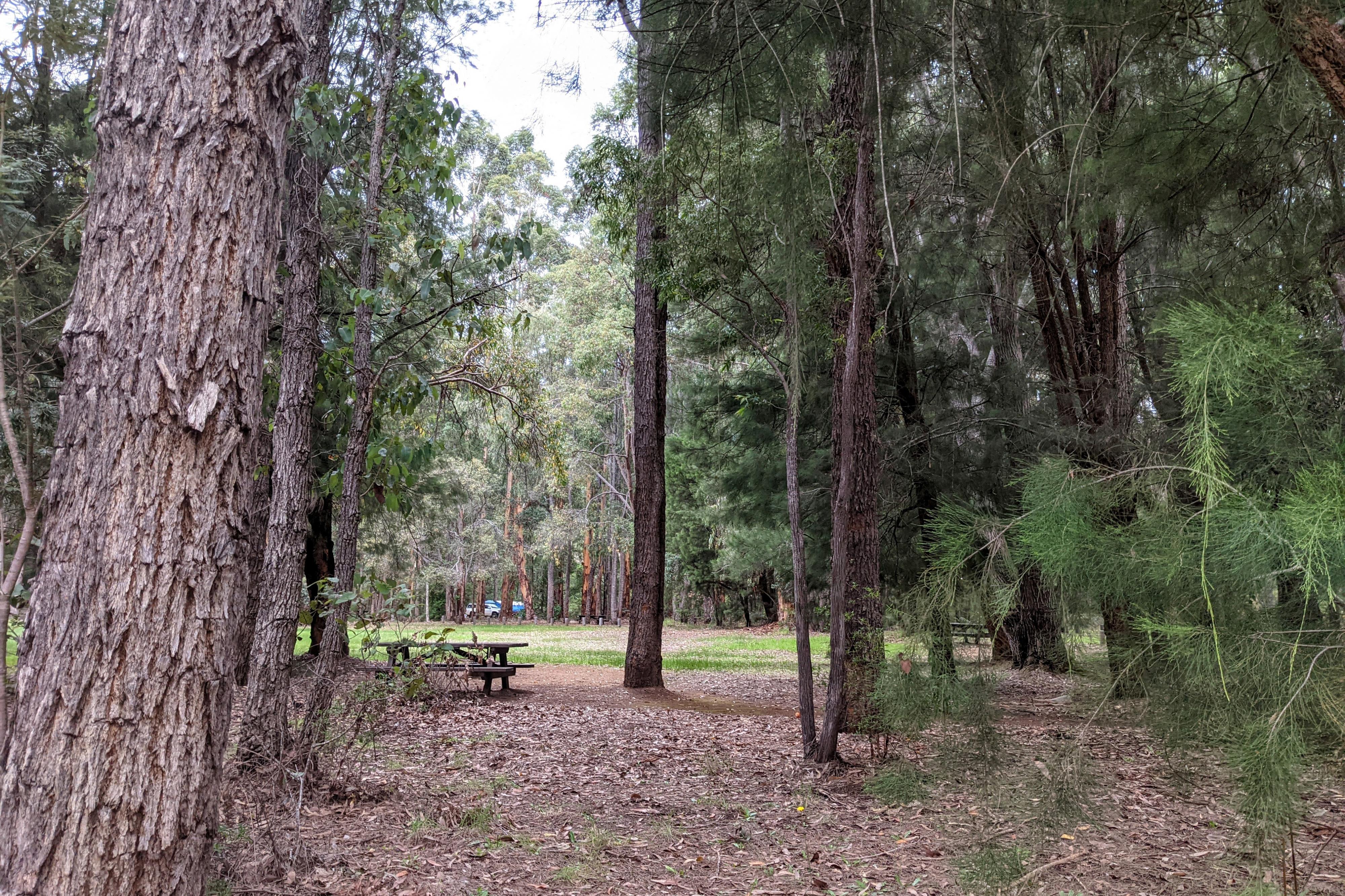 Greens Island — photo 7