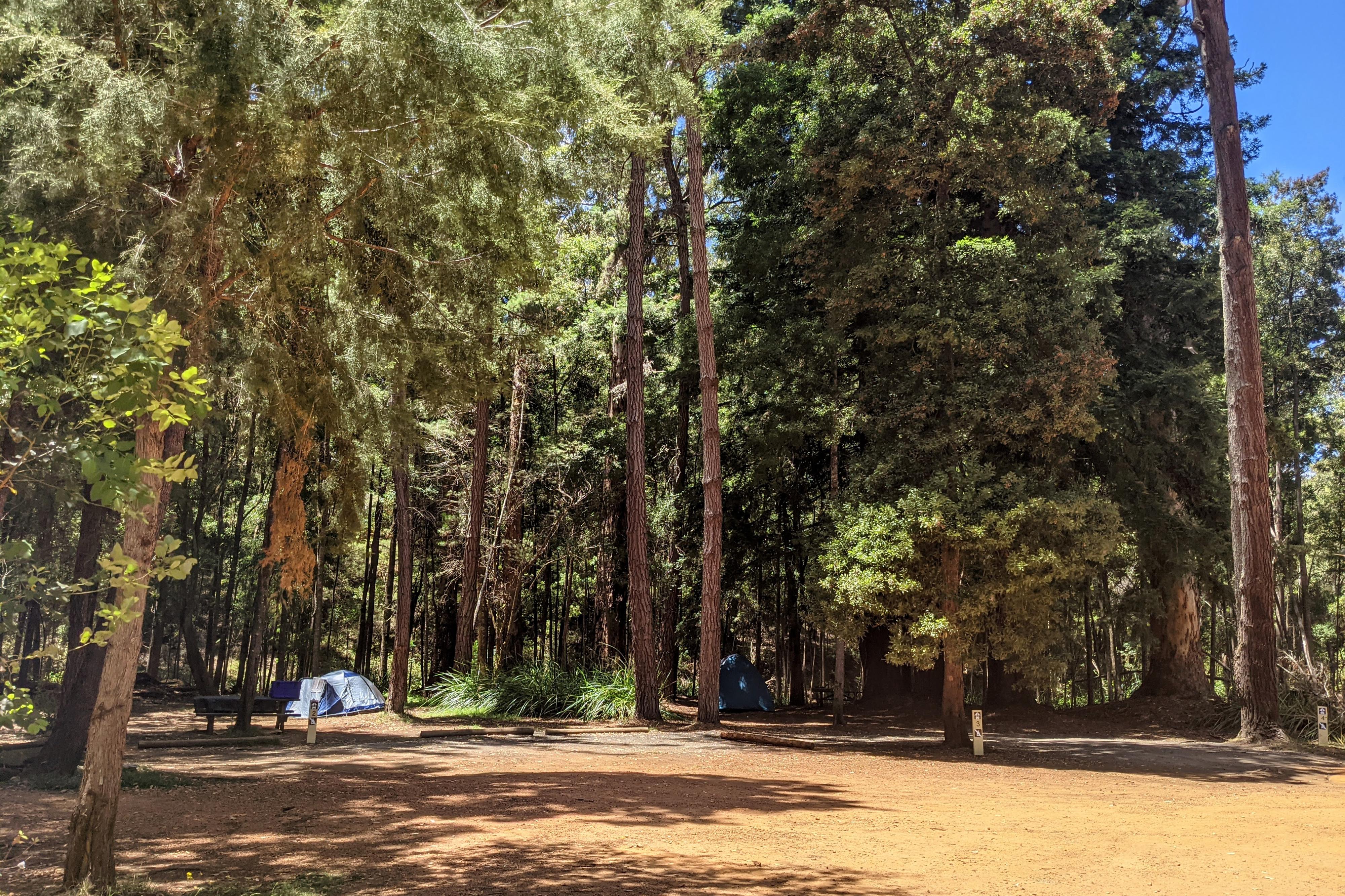 Big Brook Arboretum Campsite — photo 7