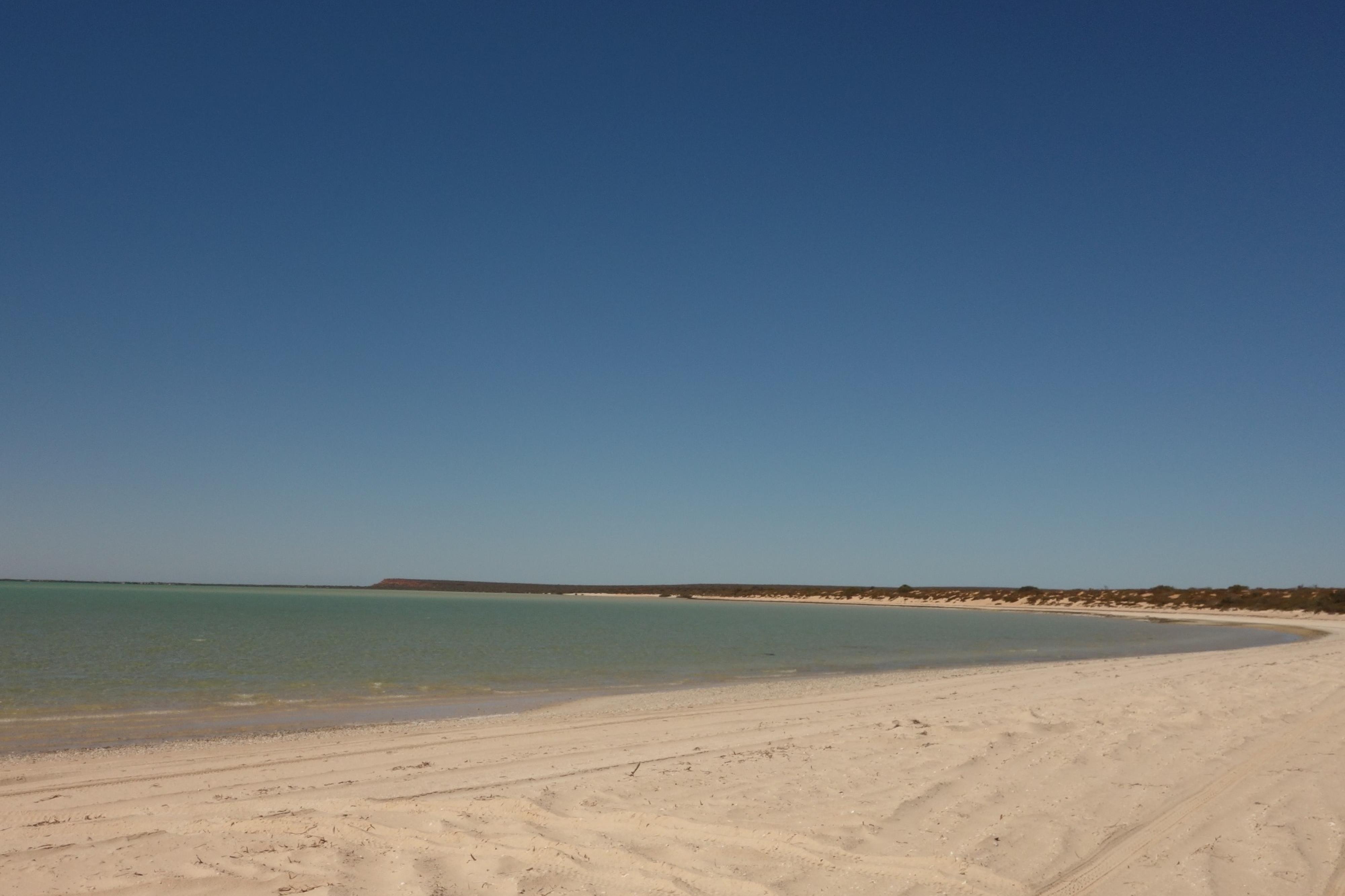 Herald Bight — photo 2