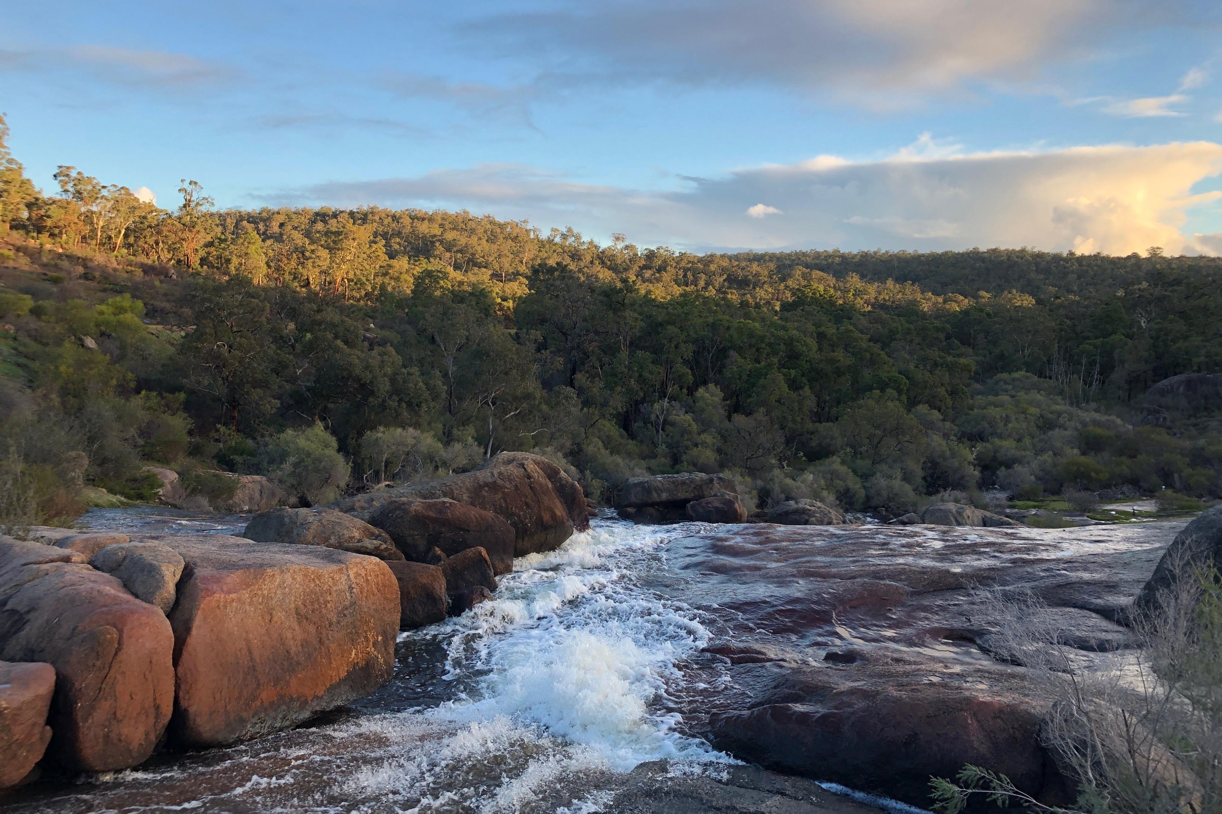 Hovea Falls with a view