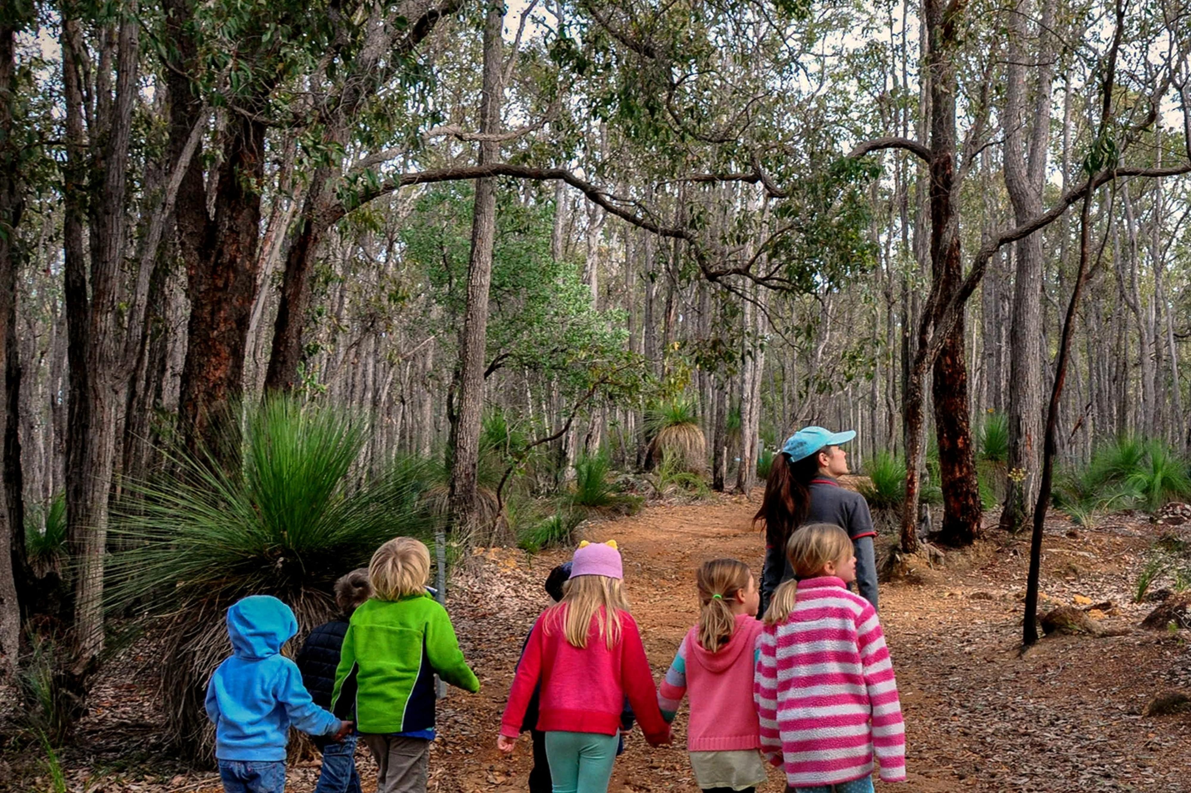 An adult and children walking on a forest path.