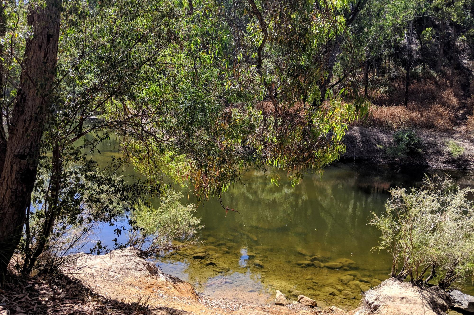 Charlie's Flat Campground — photo 4