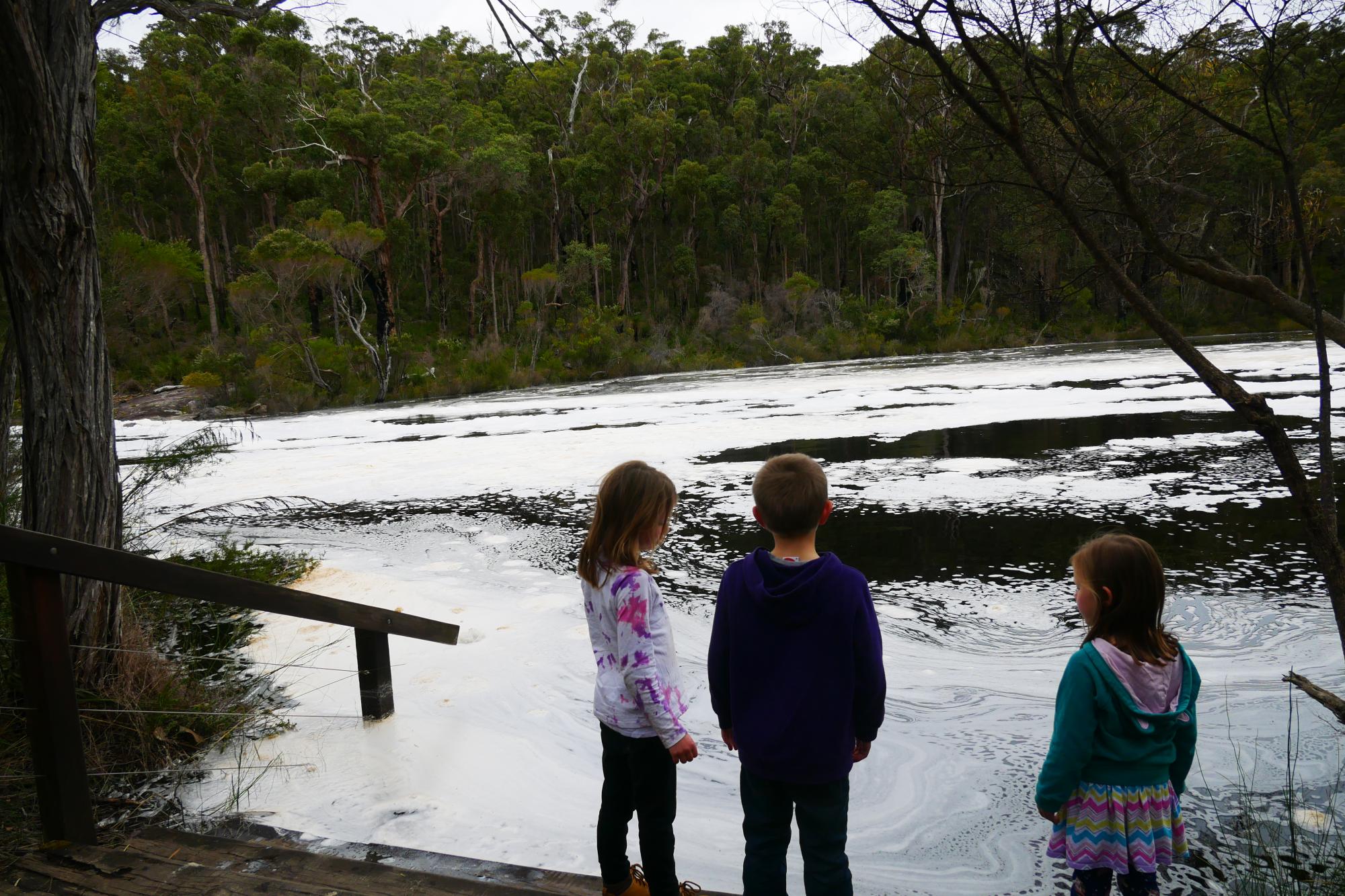 Fernhook Falls Campground — photo 4