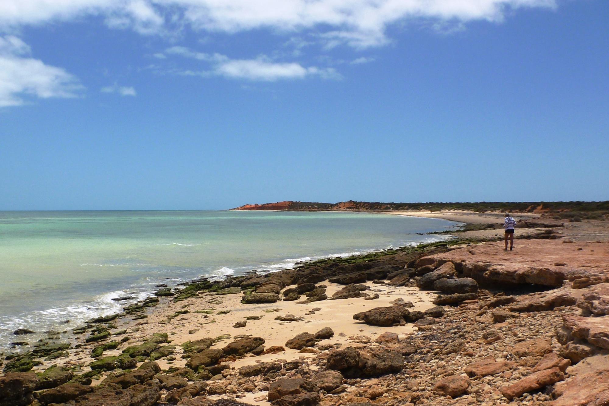 South Gregorys — photo 4