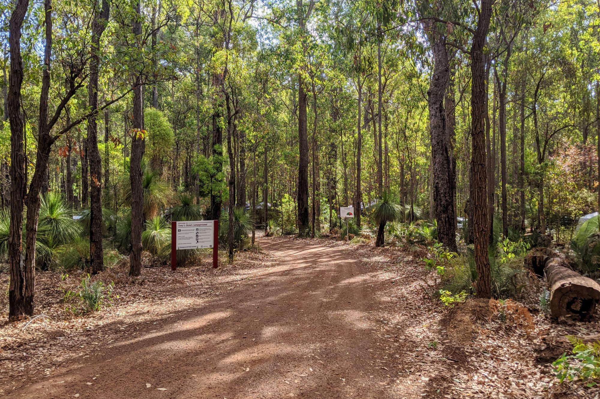 Tony's Bend Campground — photo 4