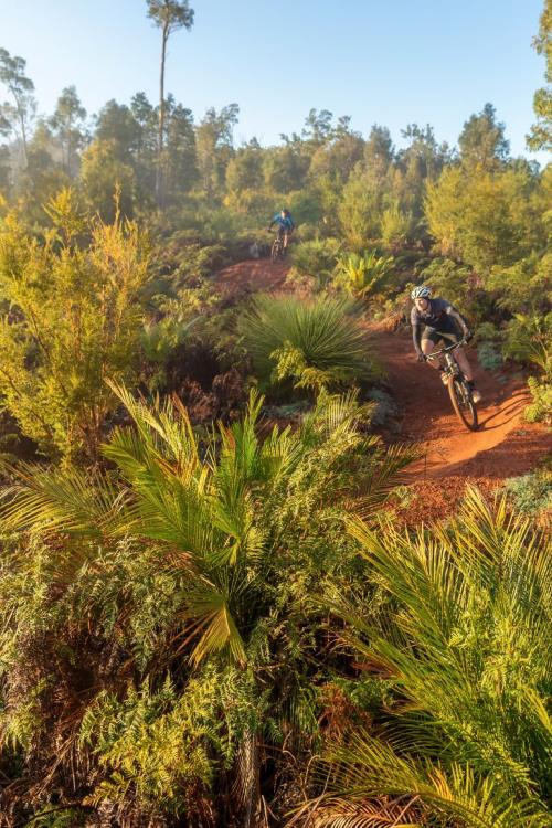 Aerial view of dirt tracks winding through green shrubs and two people riding mountain bikes