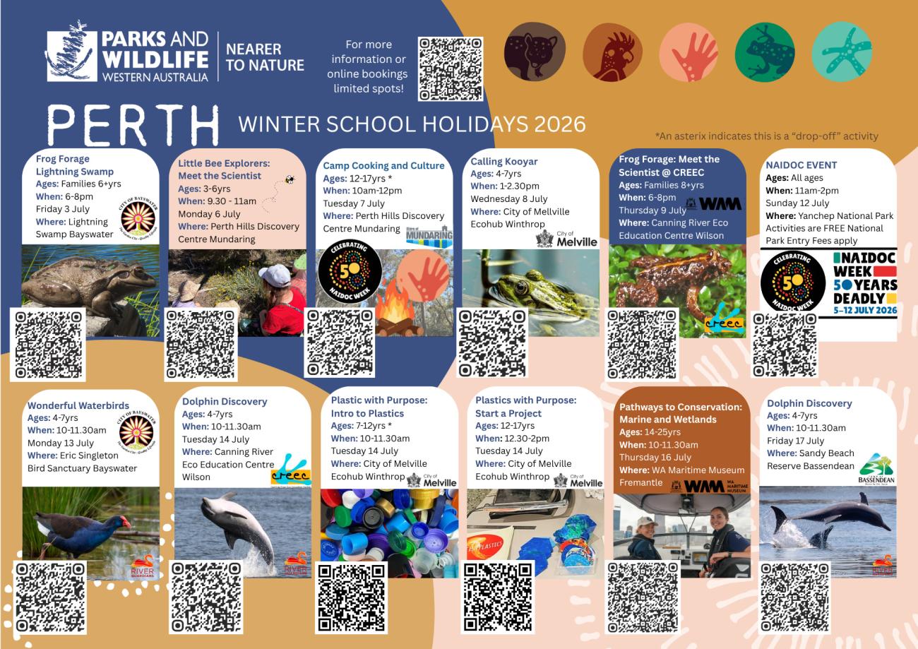 Winter calendar for school holiday program