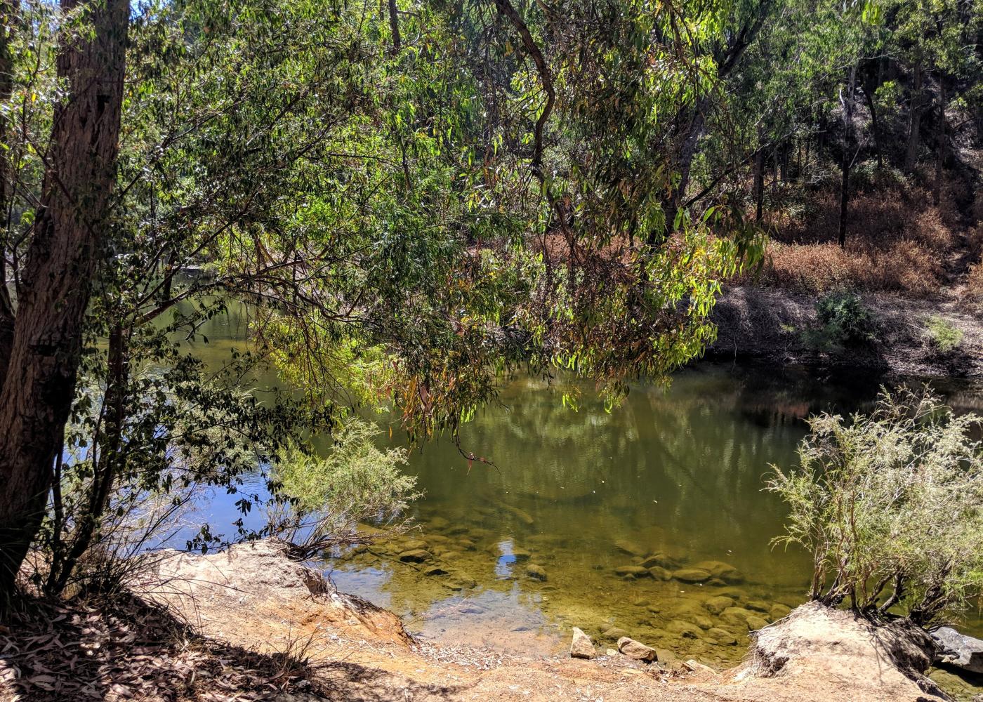 Charlie's Flat Campground — photo 3