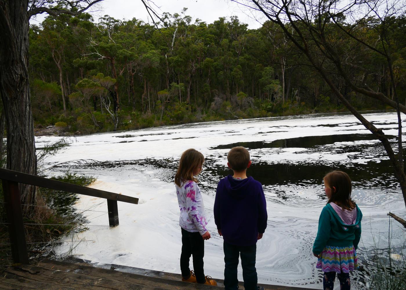 Fernhook Falls Campground — photo 3