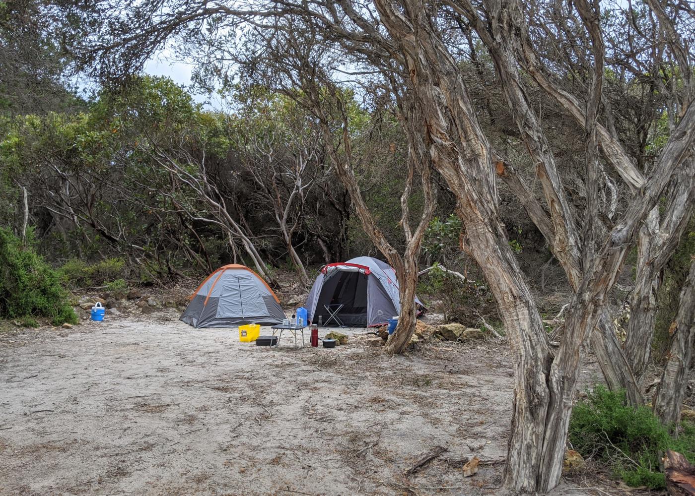 St Mary Inlet Campground — photo 3