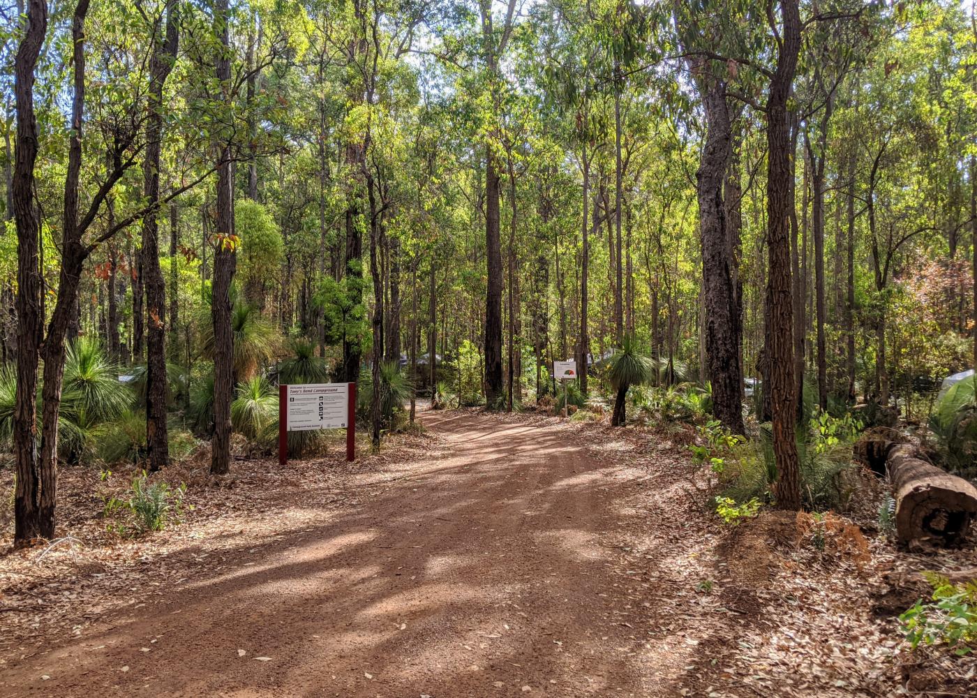 Tony's Bend Campground — photo 3