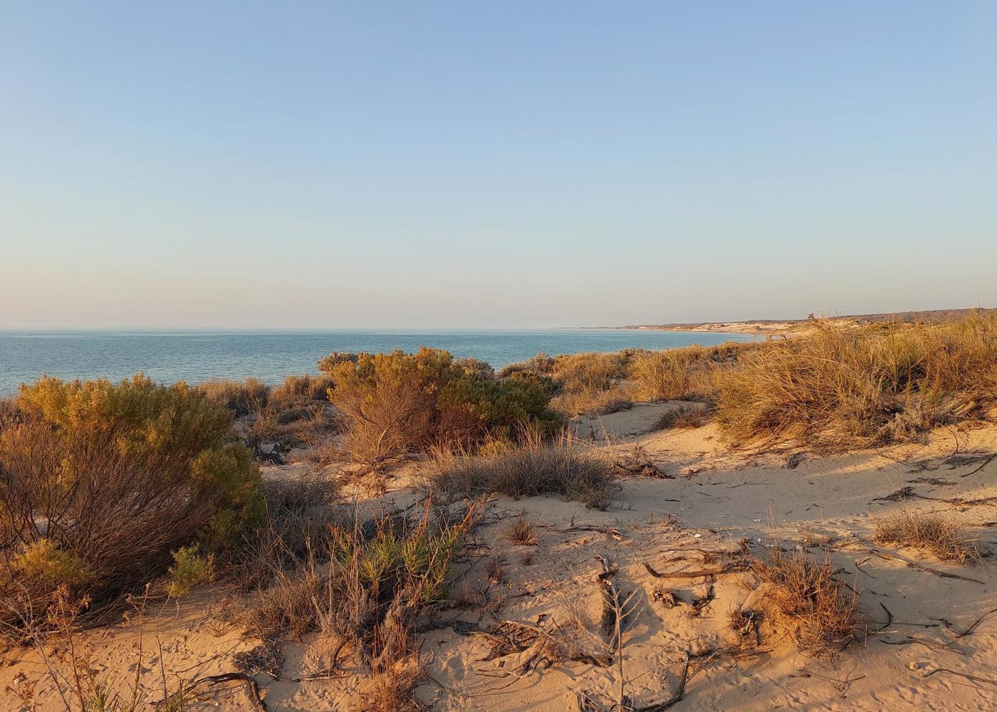 Yardie Creek — photo 3