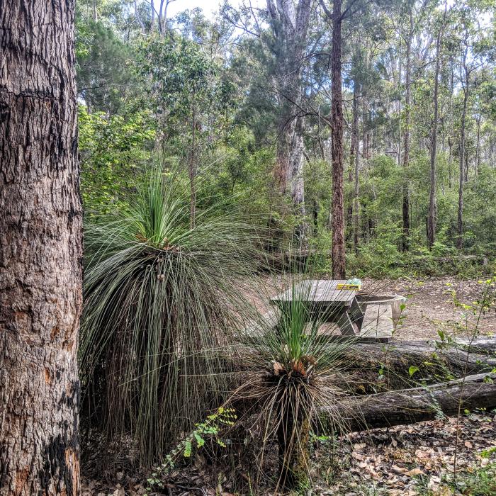 Carey Brook (Grass Tree Hollow) Camping Area — photo 2