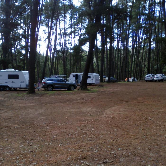 Nanga Mill Campground — photo 2