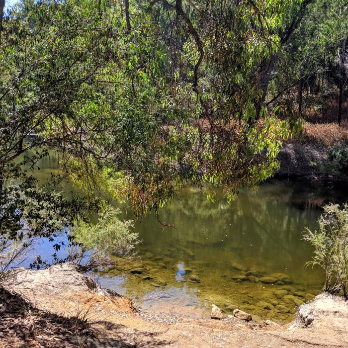 Charlie's Flat Campground — photo 2
