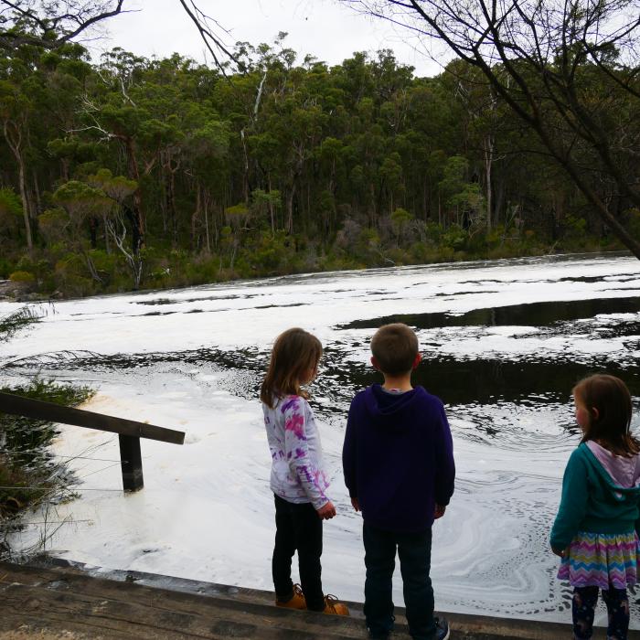 Fernhook Falls Campground — photo 2