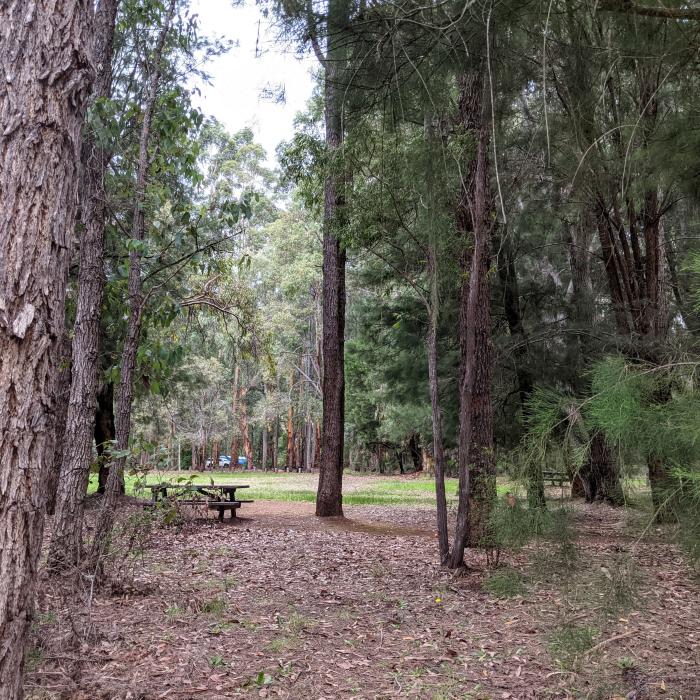 Greens Island — photo 8