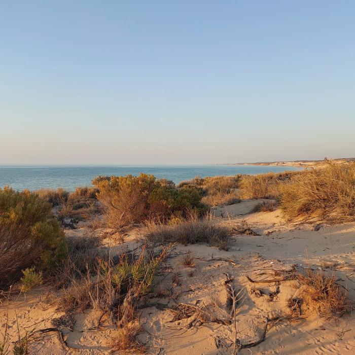 Yardie Creek — photo 4