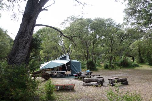 camper trailer erected and set up in a forest with wooden picnic table and tree trunk seats