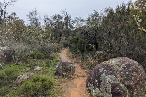 Walk trail through Gathercole Nature Reserve