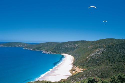 view of beach and paragliders flying in blue skies