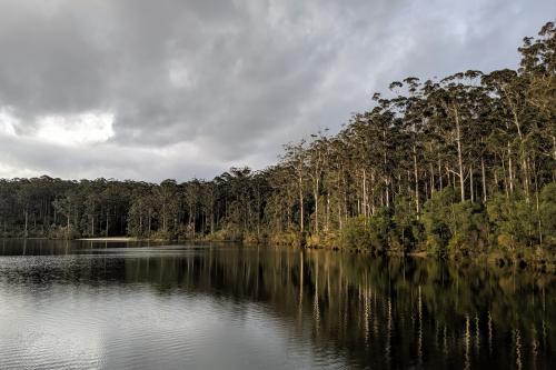 Karri trees reflected in Big Brook Dam on a cloudy day, with the picnic area beach visible on the other side of the water