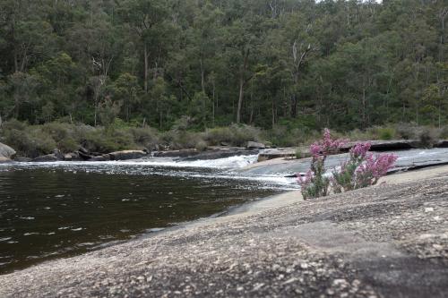 River surrounded by granite and forest in the background