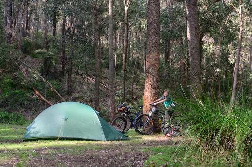 green dome tent in a campsite with two mountain bikes propped on the trunk of a tree
