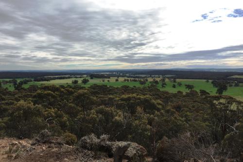 view from contine hill lookout over the bush and farmlands in the distance