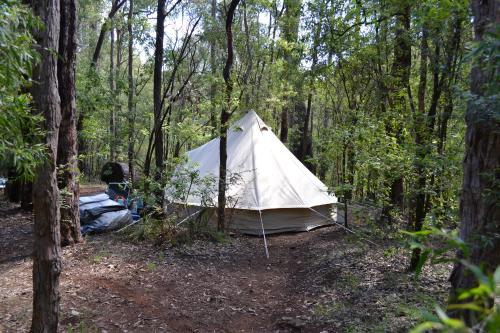 glamping tent set up in the forest