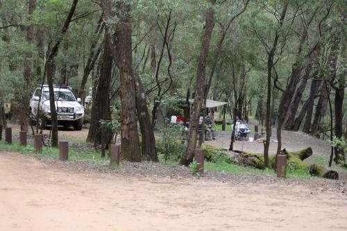 Campers set up with their white vehicle in a campround in the forest