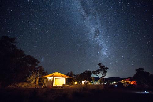 View of the glamping tent at night under a sky full of stars