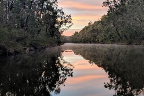 Early morning sky with pink clouds reflected in the Murray River in Lane Poole Reserve
