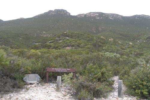 Start of the trail heading to the summit of Mt Ragged
