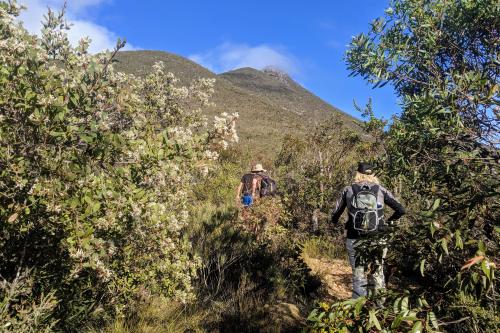 Bushwalkers on the way up Mount Hassell in the Stirling Range