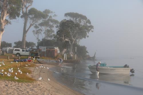 birds on the lawn and a fisherman is steadying his boat on a cold misty morning on the bank of the inlet