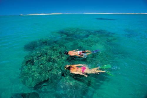 Two people snorkeling in clear green water near coral
