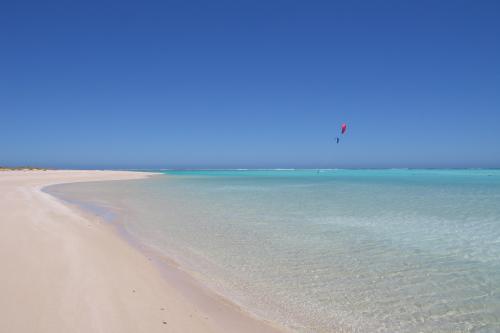 Clear blue water near white sandy beach and kite surfers