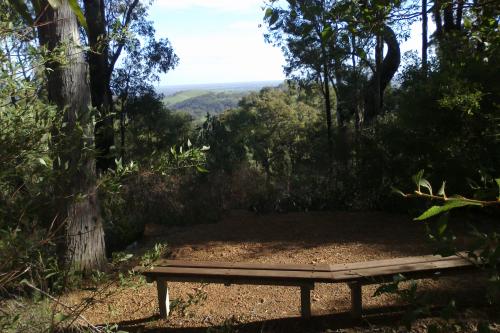 a clearing in the forest overlooking the landscape from scarp lookout