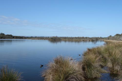 Canning River with bird life enjoy the peace 