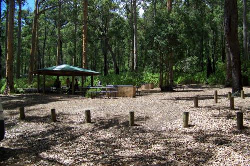 picnic shelter in the forest