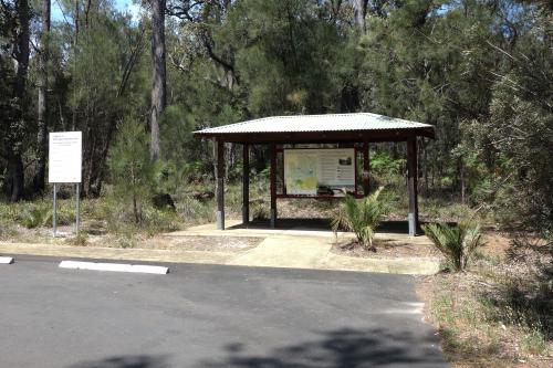bitumen car park in the forground with an information shelter and forest in the background