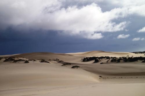 dunes dominate the landscape with strips of vegetations and cloudy blue skies
