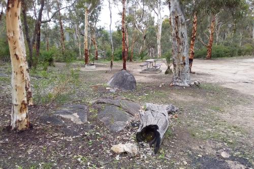 Picnic area amid native trees at Bald Hill Campground