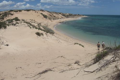 deep sand dunes leading down to a sweeping bay at Boat Harbour