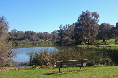A park bench gives a sunny view of the lake and a good bird watching position.
